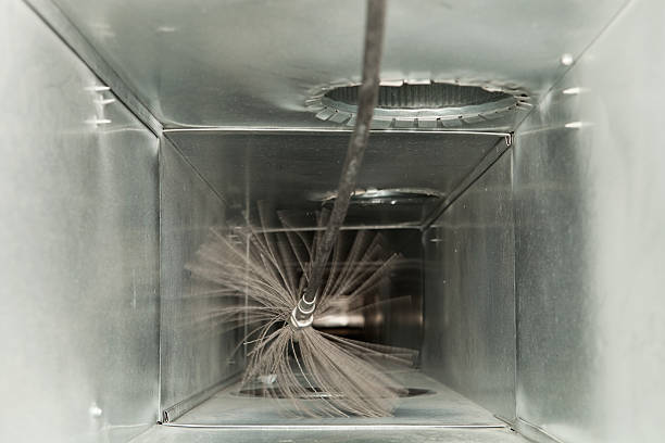 Best Professional Duct Cleaning Services  in Lake Summerset, IL